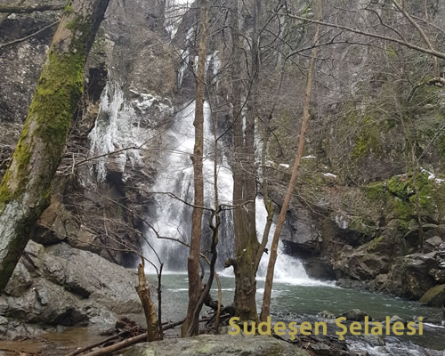 sudesen-selalesi